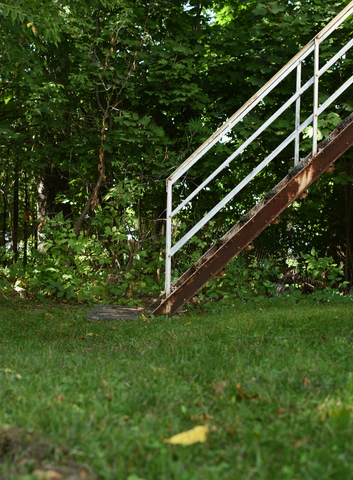 Backyard stairway at University of Vermont's Nolin House